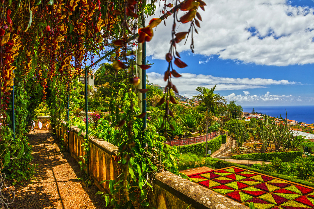 Fly en Drive Romantisch Madeira Afbeelding