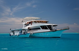 18daagse combi Liveaboard Sheena en Medhufushi Resort 5