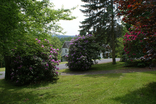 Domaine De L Ecureuil