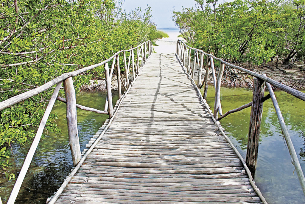 Sol Cayo Coco 11