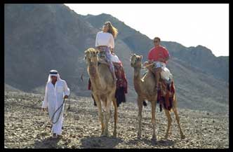 8dgn 4* Jeepsafari Sinai Inclusief excursies TCPRR014 Afbeelding