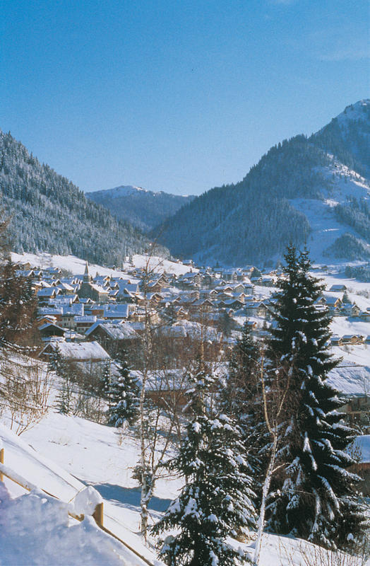 Diverse appartementen in Chatel 14