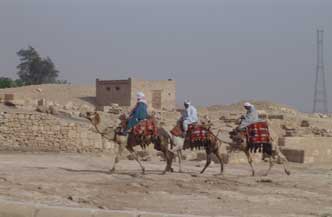 8dgn 3* Rode Zee en Cairo incl excursies SSHRRSCH 2