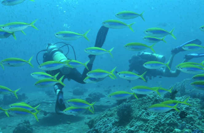 Marco Polo Liveaboard Thailand 15