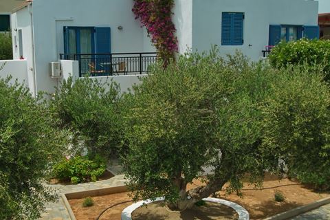 Appartementen Palatia Village 7