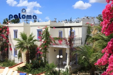 Club Paloma 2