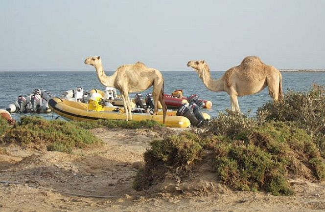 Wadi Lahami Village Afbeelding