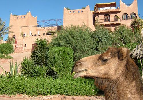 Kasbah Le Mirage