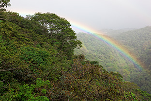 Classic Costa Rica 2