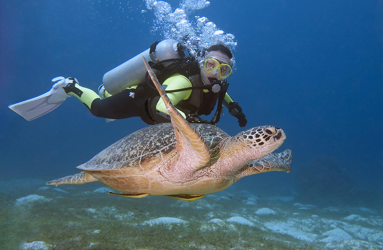 14daagse Malapascua  Leyte Liveaboard Afbeelding