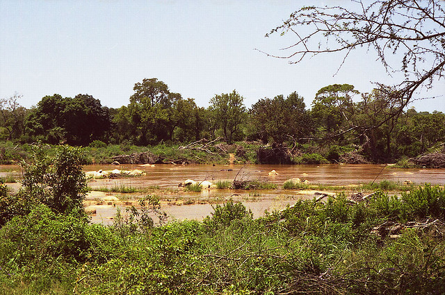 Kruger National Park en Mozambique Afbeelding