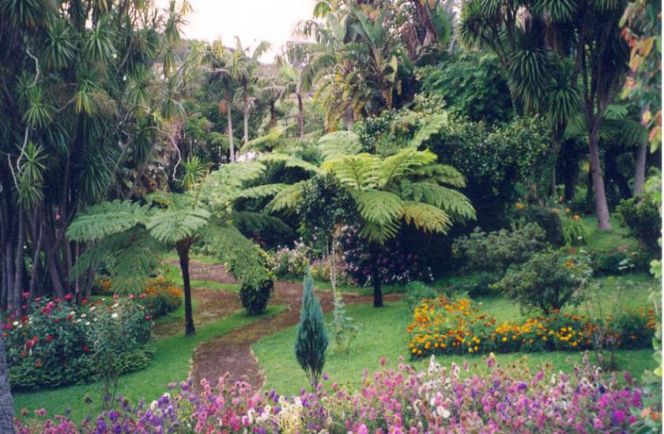 Quinta Nasce Agua Afbeelding