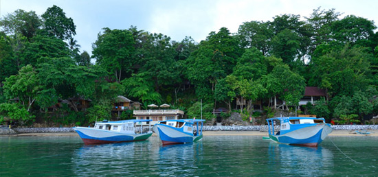 Bunaken en Lembeh  Froggies 1