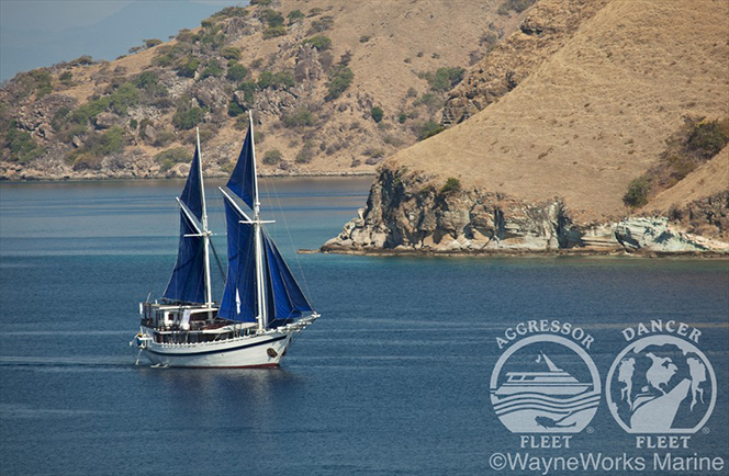 Komodo Dancer  liveaboard 10 dagen Afbeelding