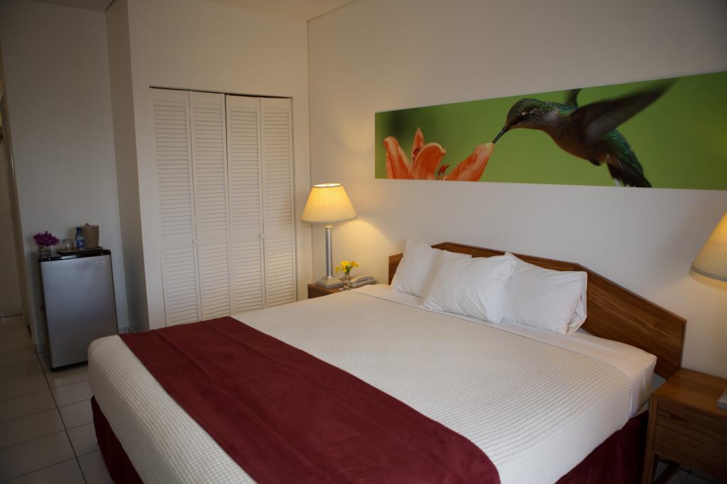 Eco Torarica hotel Paramaribo Suriname  6