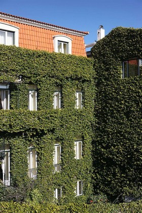 As Janelas Verdes