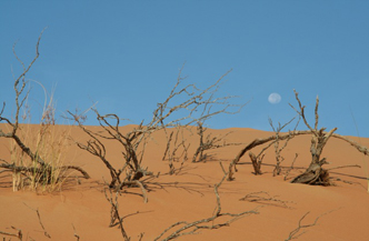 Natural Heights of Muscat 2