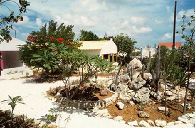 Drive and Dive Caribbean Club Bonaire 6