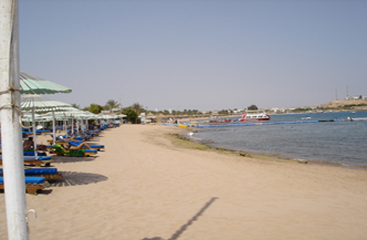 SPECIAL! 11daagse 4* Cairo en Sharm El Sheikh IA161 1