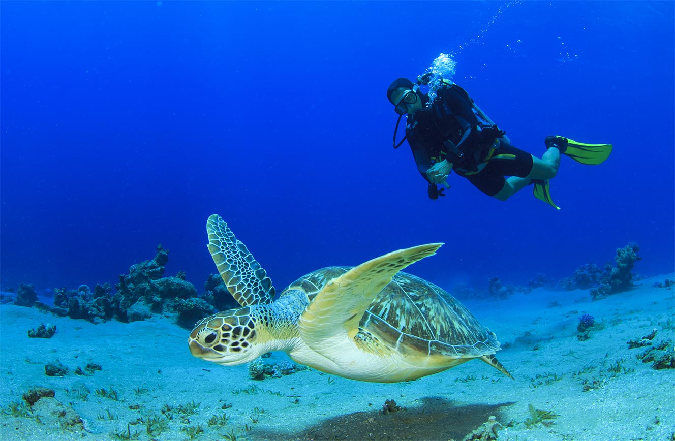 Hippocampus Beach en Dive Resort Afbeelding