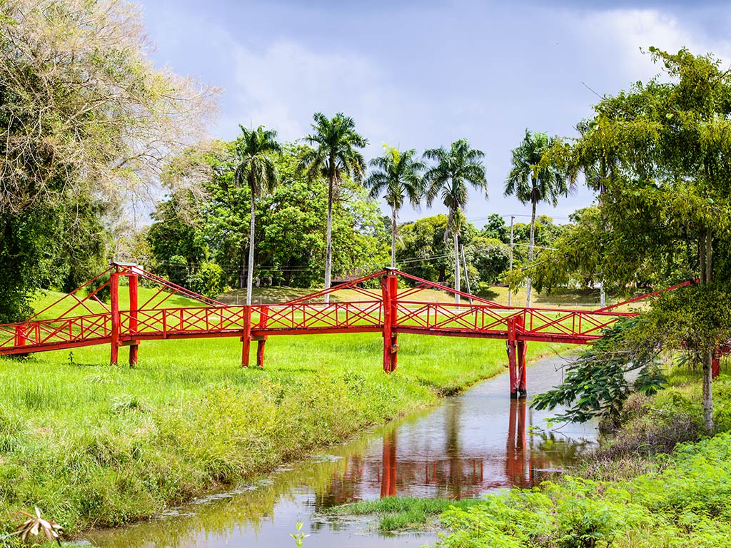 Beleef Suriname Rondreis Afbeelding