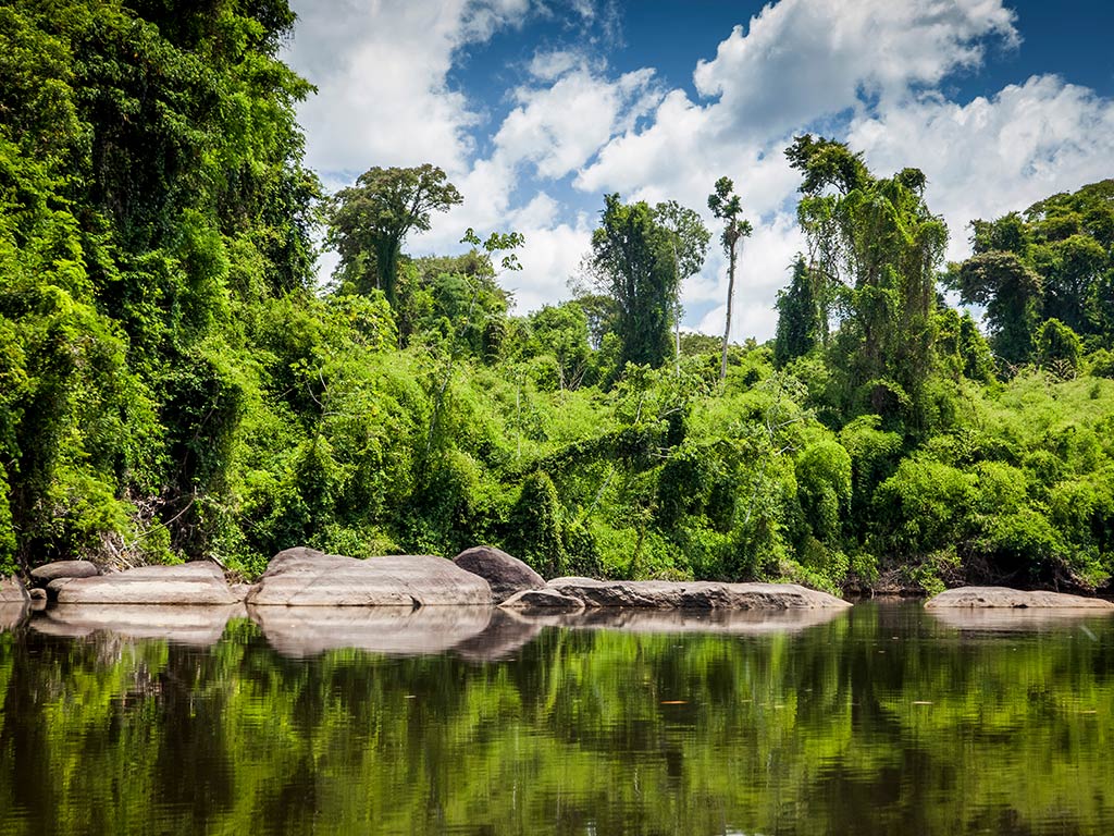 Suriname Oost Zuid West Rondreis  0