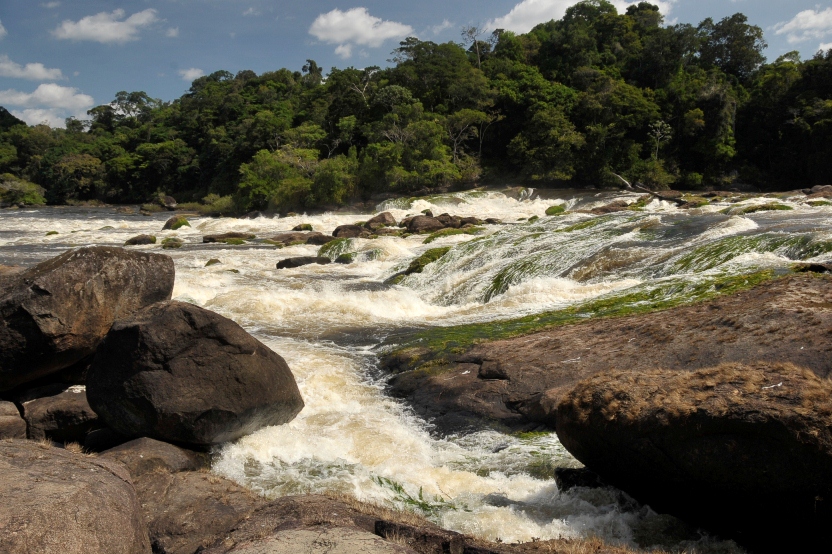 Palumeu jungle lodge 1