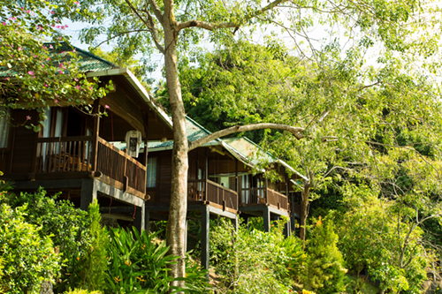 Bastianos Lembeh Dive Resort 1