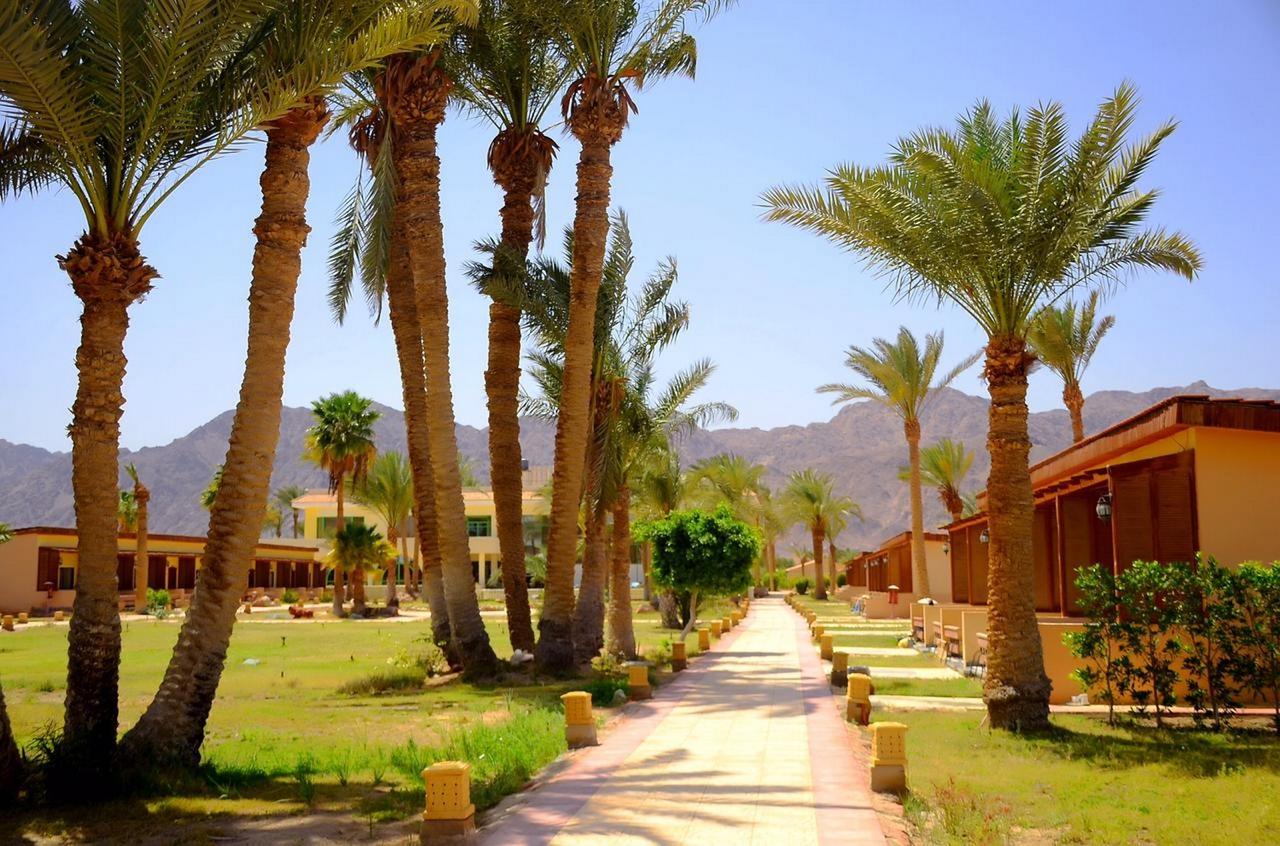 Nuweiba Club Resort 1