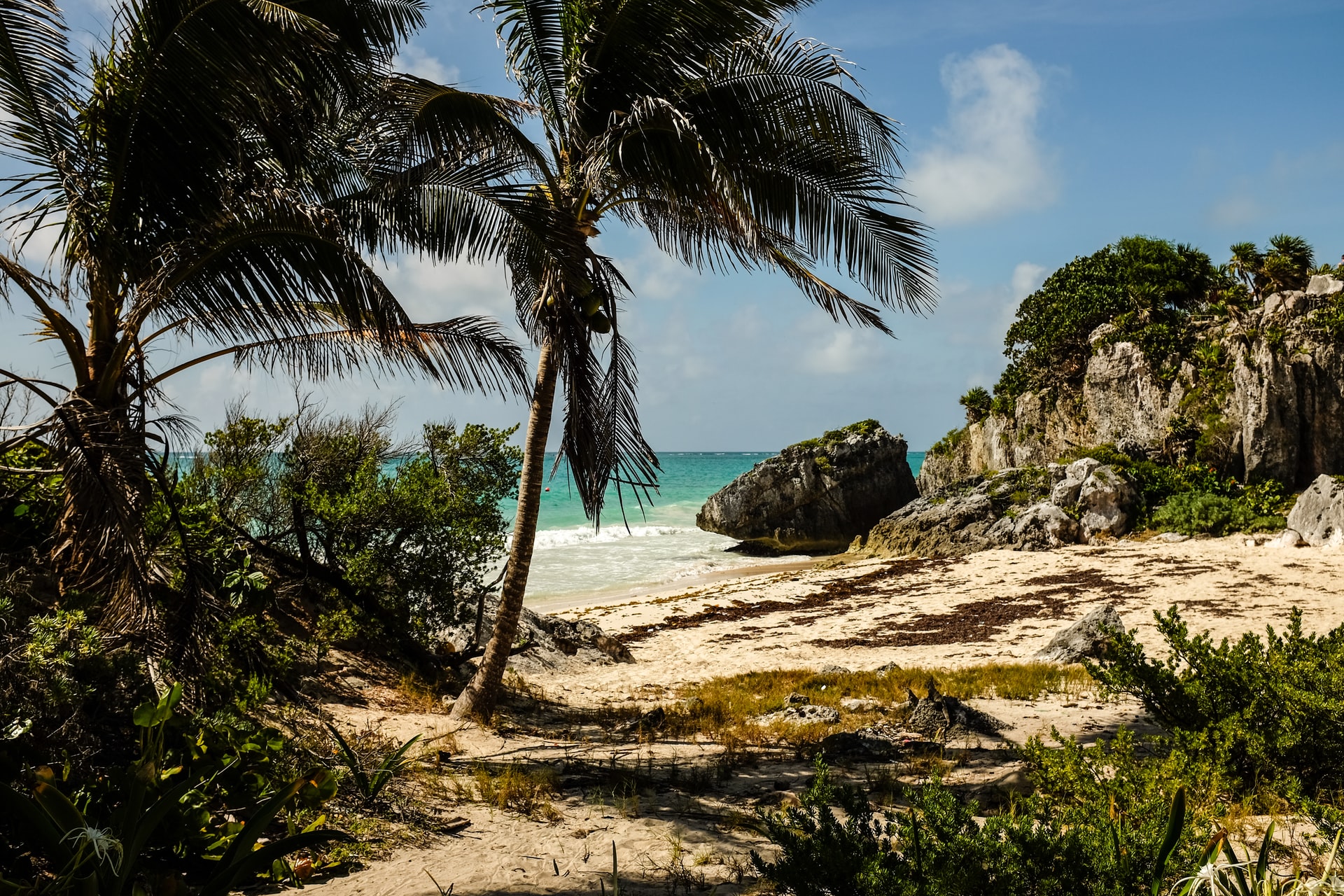 8 daagse Rondreis Baja California stranden Afbeelding