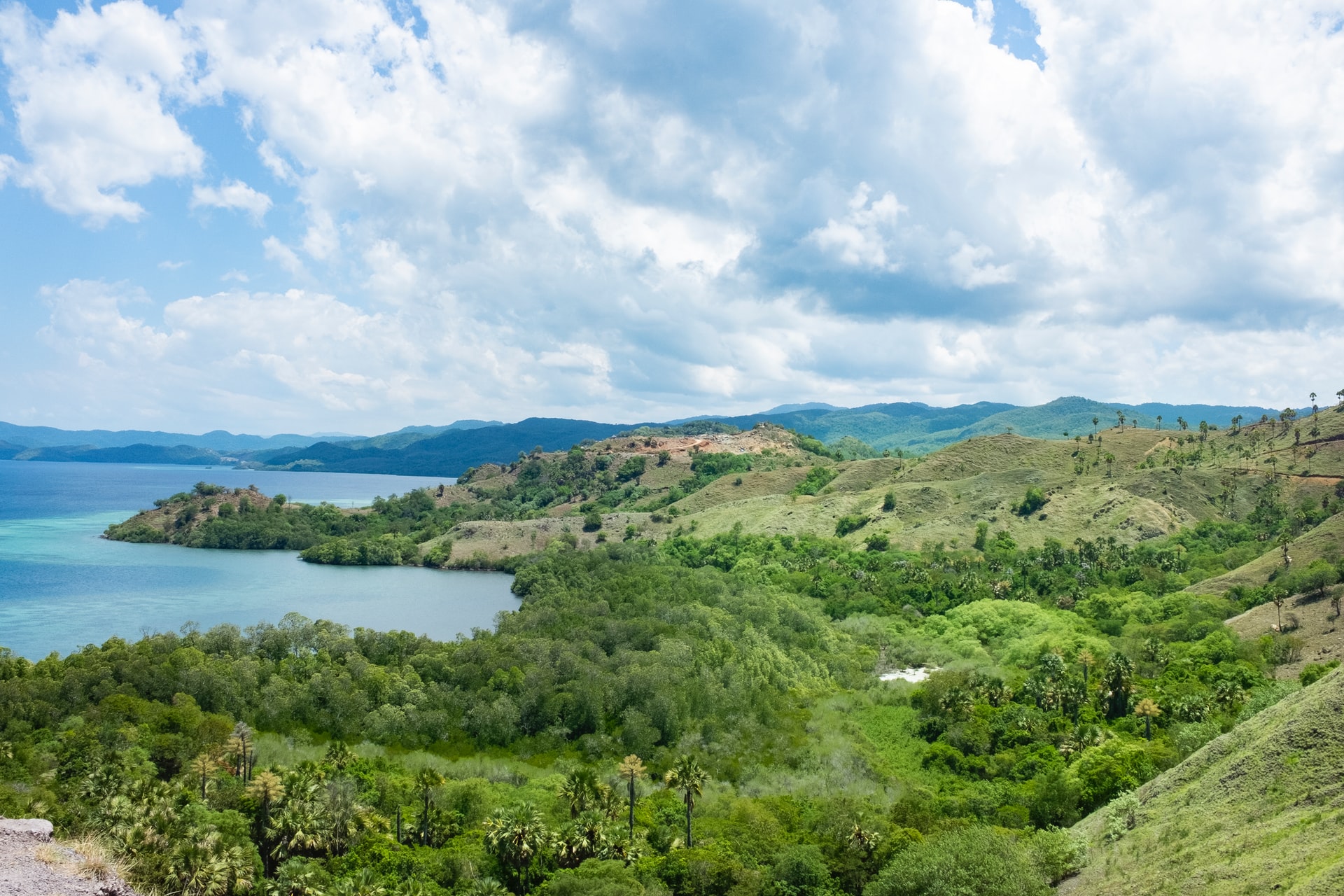 10 daagse Rondreis Flores en Komodo