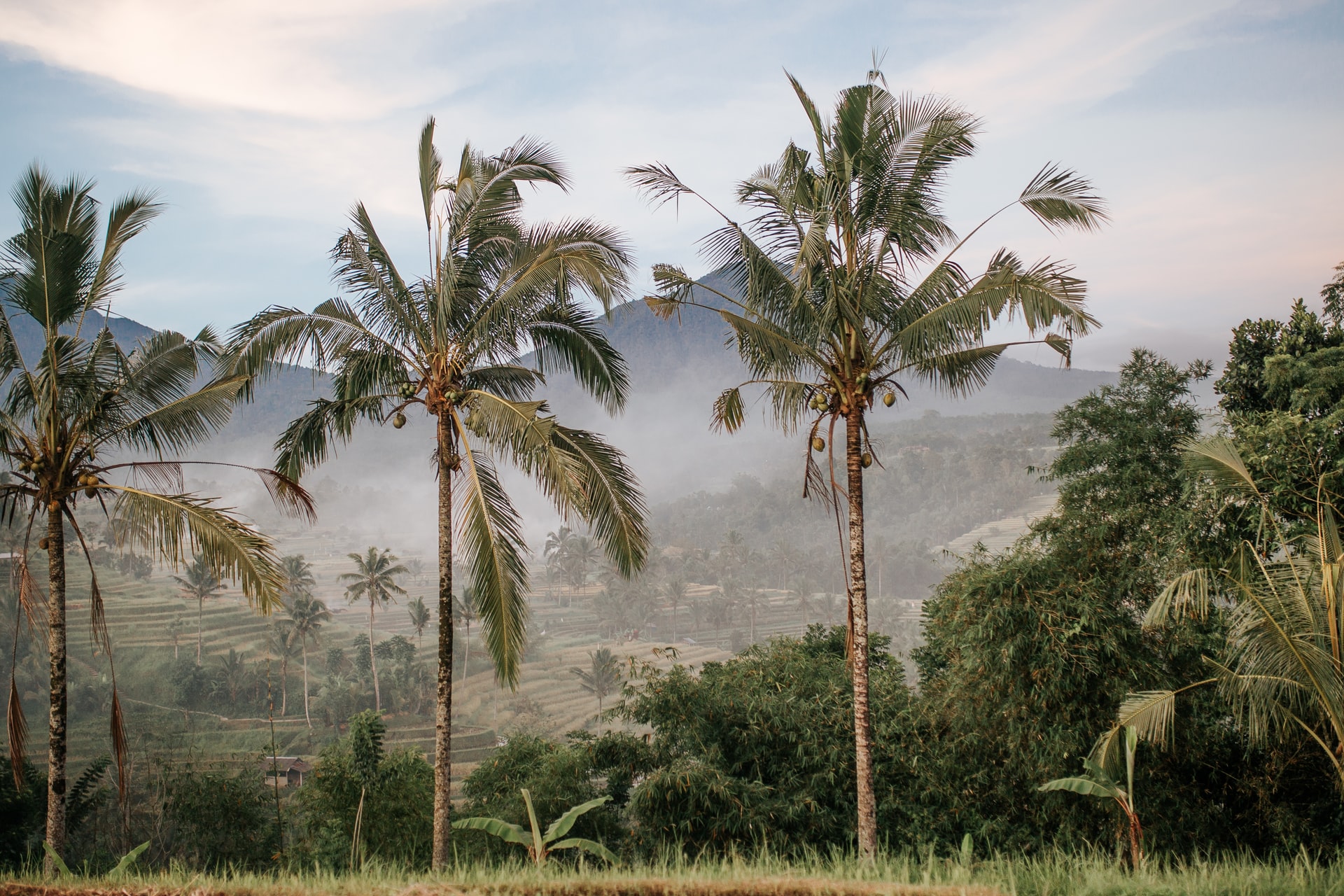 9 daagse Rondreis van Yogyakarta naar Bali