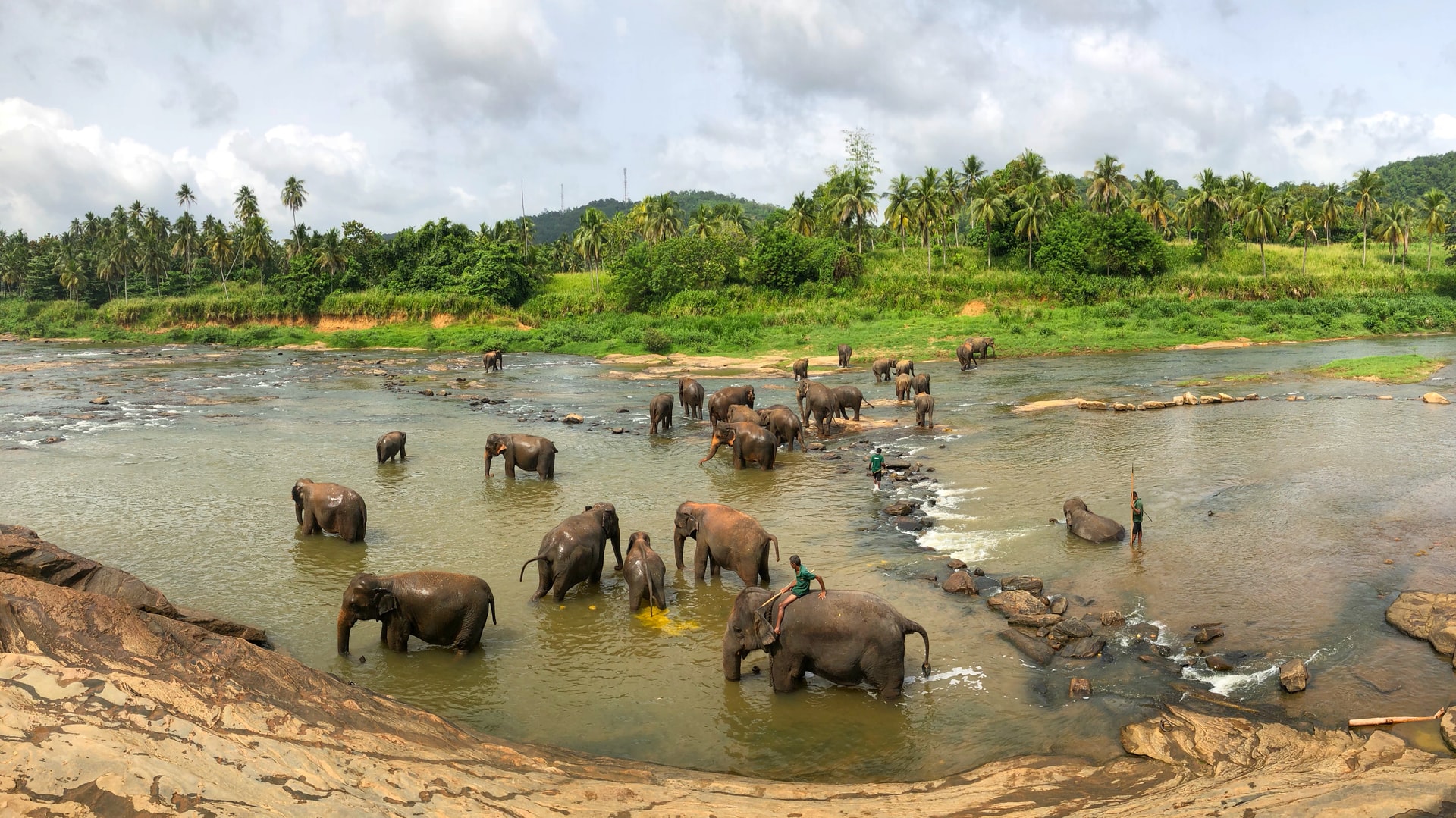 Individuele Rondreis Tanzania 8 dagen