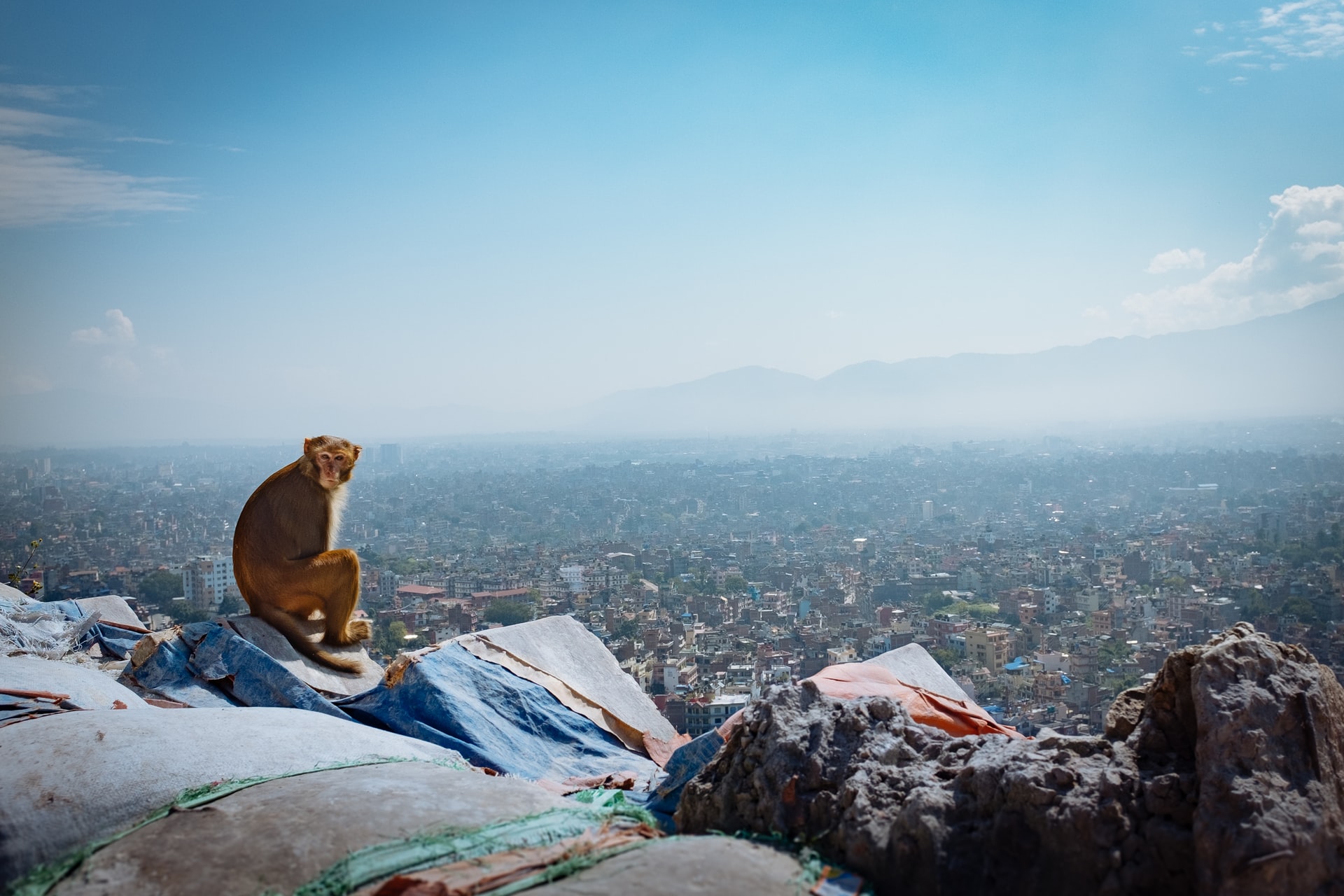 Rondreis Kathmandu en Lumbini 9 dagen Afbeelding