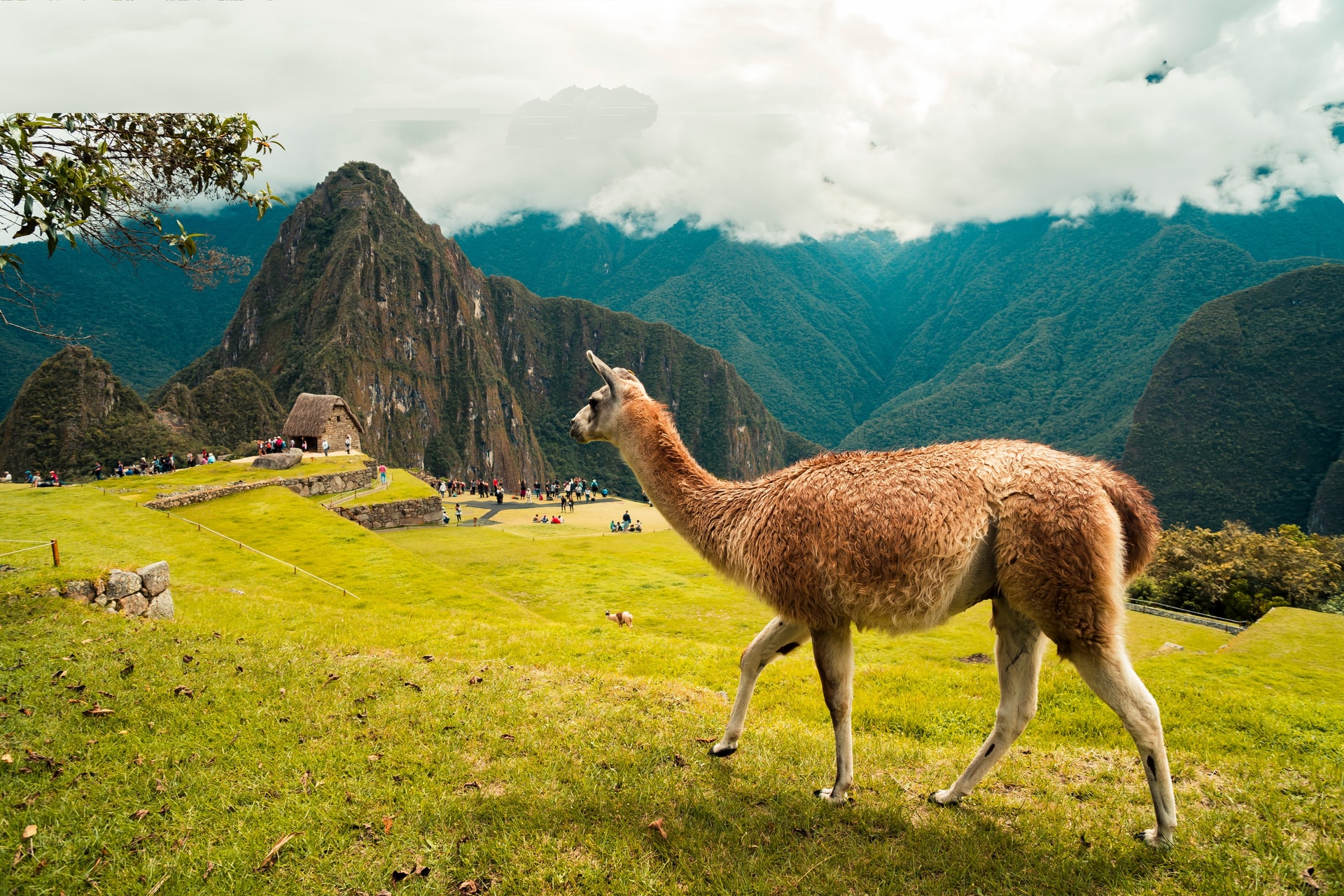 Ontdek Peru in 7 dagen Afbeelding