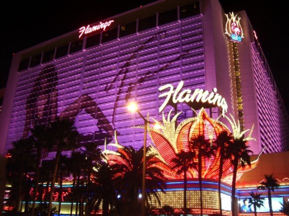 Hotel: Flamingo