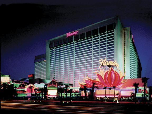 Hotel: Flamingo 2